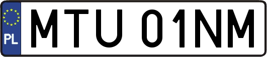 MTU01NM