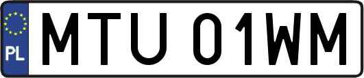 MTU01WM