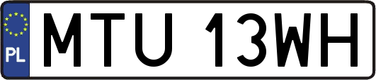 MTU13WH