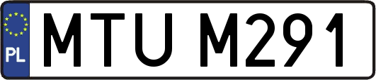 MTUM291