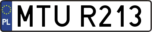 MTUR213