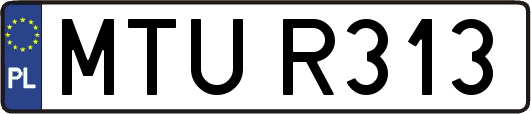 MTUR313