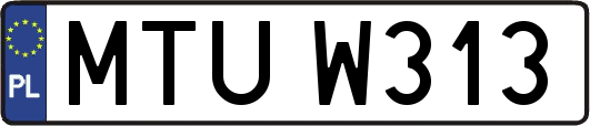 MTUW313