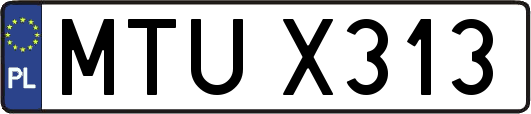 MTUX313