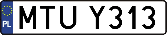 MTUY313