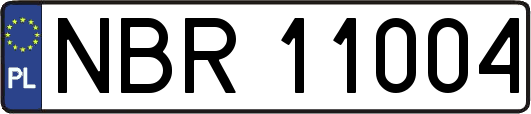 NBR11004