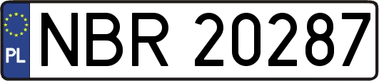 NBR20287