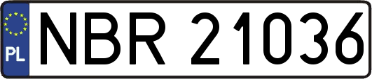 NBR21036