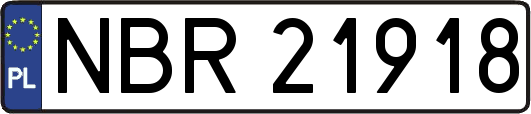 NBR21918