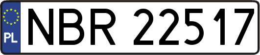 NBR22517