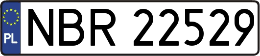 NBR22529