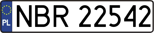 NBR22542