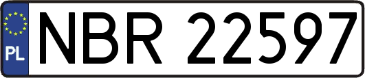 NBR22597