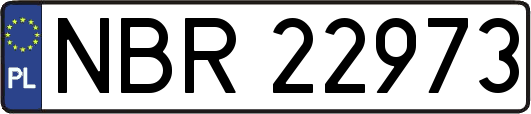 NBR22973