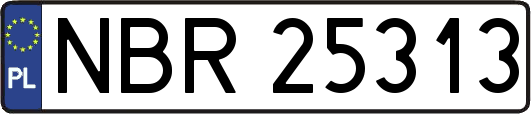 NBR25313