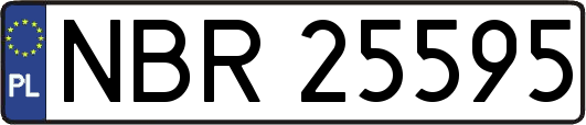 NBR25595