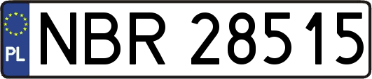 NBR28515