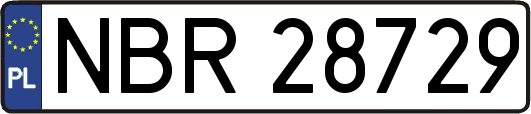 NBR28729