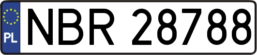 NBR28788