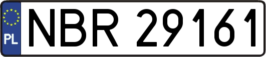 NBR29161