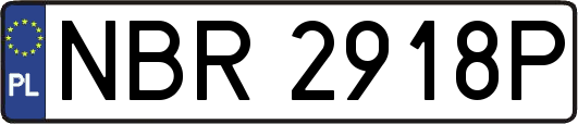 NBR2918P