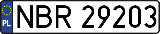 NBR29203