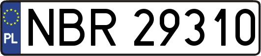 NBR29310