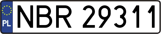 NBR29311