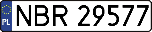 NBR29577