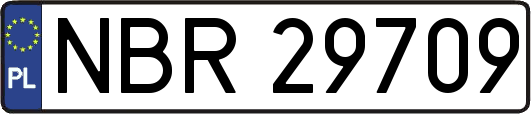 NBR29709