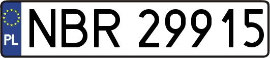 NBR29915