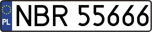 NBR55666