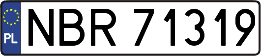 NBR71319