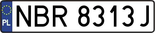 NBR8313J