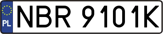 NBR9101K