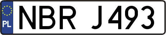 NBRJ493