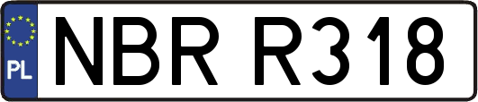 NBRR318