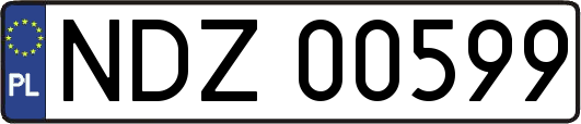 NDZ00599