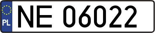 NE06022