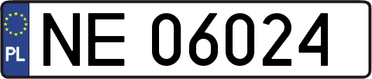 NE06024