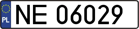 NE06029