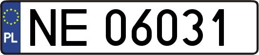 NE06031