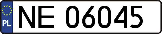 NE06045