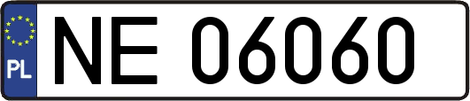 NE06060