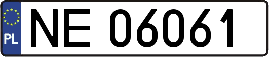NE06061