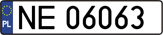 NE06063