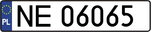 NE06065