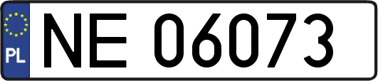 NE06073