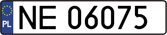 NE06075