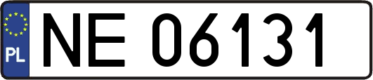 NE06131